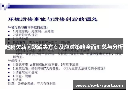 赵鹏欠薪问题解决方案及应对策略全面汇总与分析