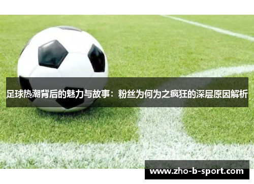 足球热潮背后的魅力与故事：粉丝为何为之疯狂的深层原因解析