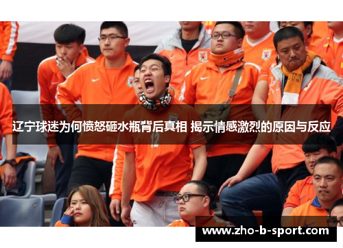 辽宁球迷为何愤怒砸水瓶背后真相 揭示情感激烈的原因与反应