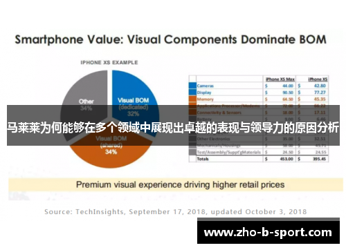 马莱莱为何能够在多个领域中展现出卓越的表现与领导力的原因分析